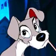 Trampの画像