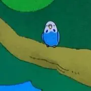るりの画像