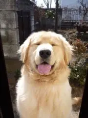 ぽちっとの画像