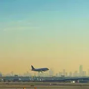 ひつじちゃん