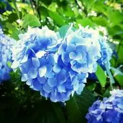 Pupipi0710の画像