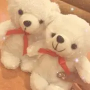 ぱぴこの画像