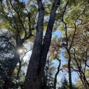 クレーン日和〜景品整理中〜の画像