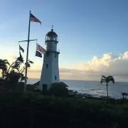 PAYAの画像