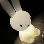 カタアゴ