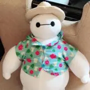 ぱんちゃんの画像