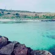 ちょん