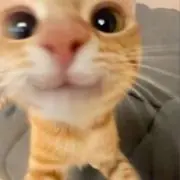 らっきーの画像