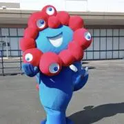 Schan全て匿名配送の画像