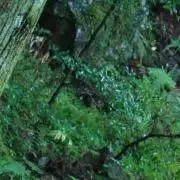 N(荷物整理中)の画像