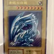 収集家の画像