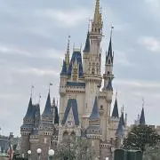 みかんの画像