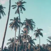 ☺︎