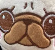 トロピカーナの画像