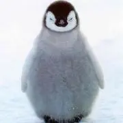 mの画像