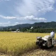 れーおの画像