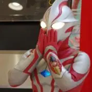 ぱゃの画像