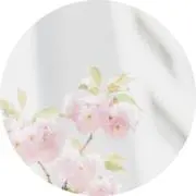 DONの画像