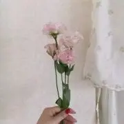 miの画像