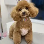 もも様専用【未使用】デニム&ダンガリー02 3wayコート FITH - メルカリ