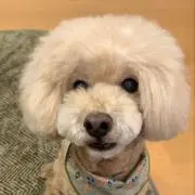konaの画像