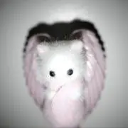 wakaの画像
