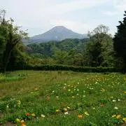舞～　 プロフ必読の画像