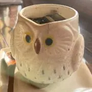 Nicoの画像