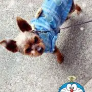 ひろくんの画像