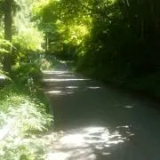 MAの画像