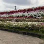 marone.4の画像