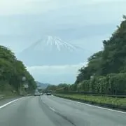伊達マグロ