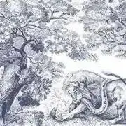 momoの画像