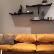 マリーの画像