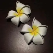 マウイ  ☆プロフ必読☆
