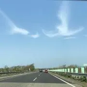 ミーの画像