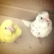 ☆ほののんとりょう☆