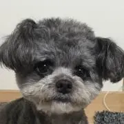 ななじろう