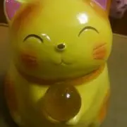 D.ローズ48の画像