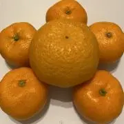 みかんの画像