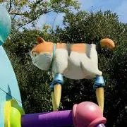 koppeの画像