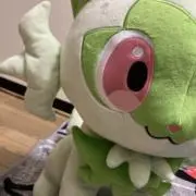琥珀の画像
