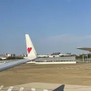 ぽむの画像