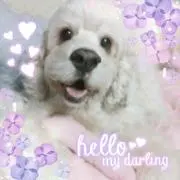 れっくる