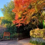 P.S ※値下げは希望額を提示ください。の画像