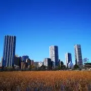 Takeの画像