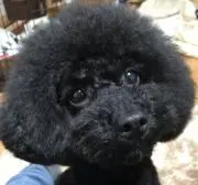 かおりママ