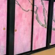 コンコンの画像