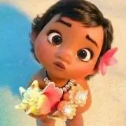 CoCoの画像