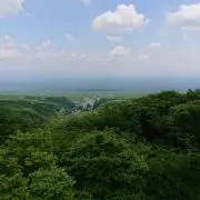 道化師